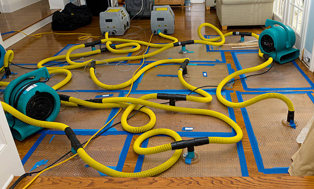 Professional Crawl Space Water Removal technician working in Nazareth, TX